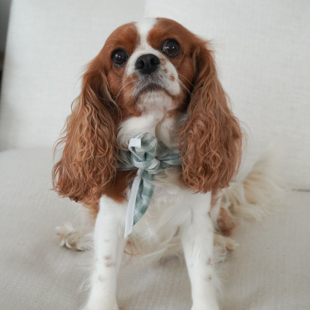 
                  
                    Penelope Gingham Bandana in Gingham
                  
                