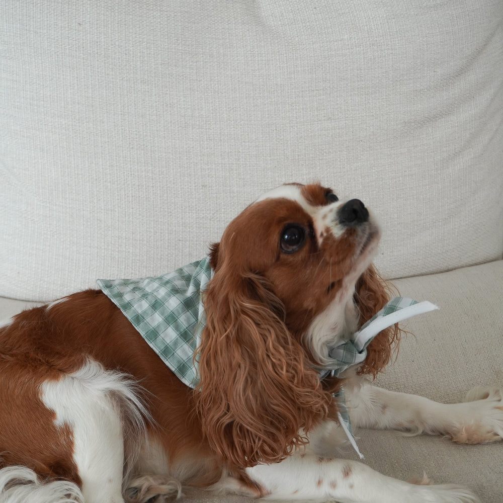 
                  
                    Penelope Gingham Bandana in Gingham
                  
                